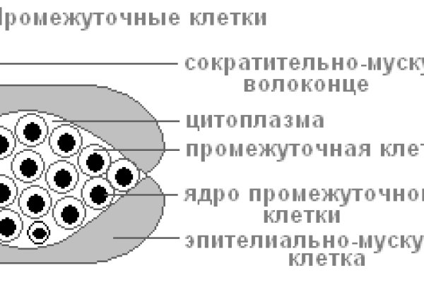 Кракен даркнет рабочая