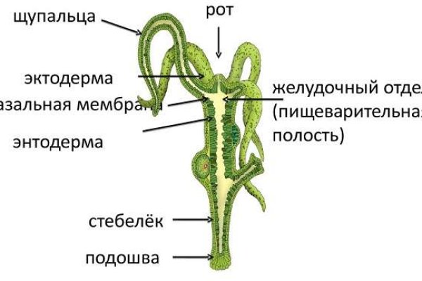 Кракен тор kraken clear com