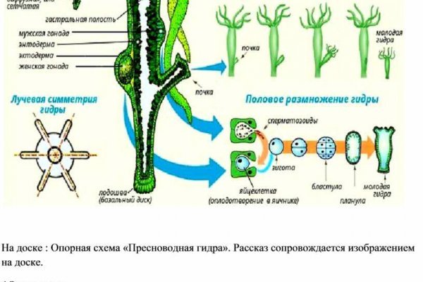 Кракен маркетплейс зеркало krk market com