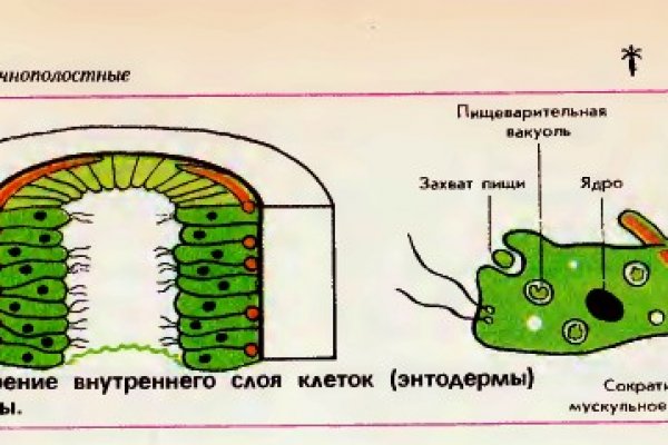 Замена гидры