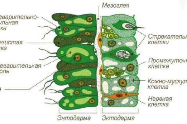 Где найти рабочую ссылку на кракен