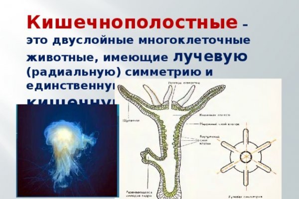 Даркнет зеркало
